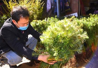 水北镇未来繁荣蓝图，最新发展规划揭秘