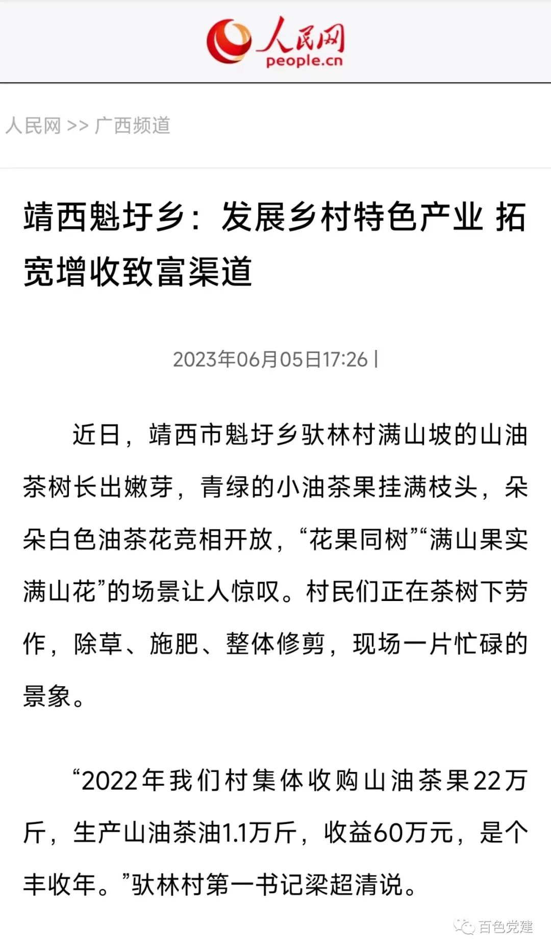魁圩乡新项目，乡村发展的强大引擎