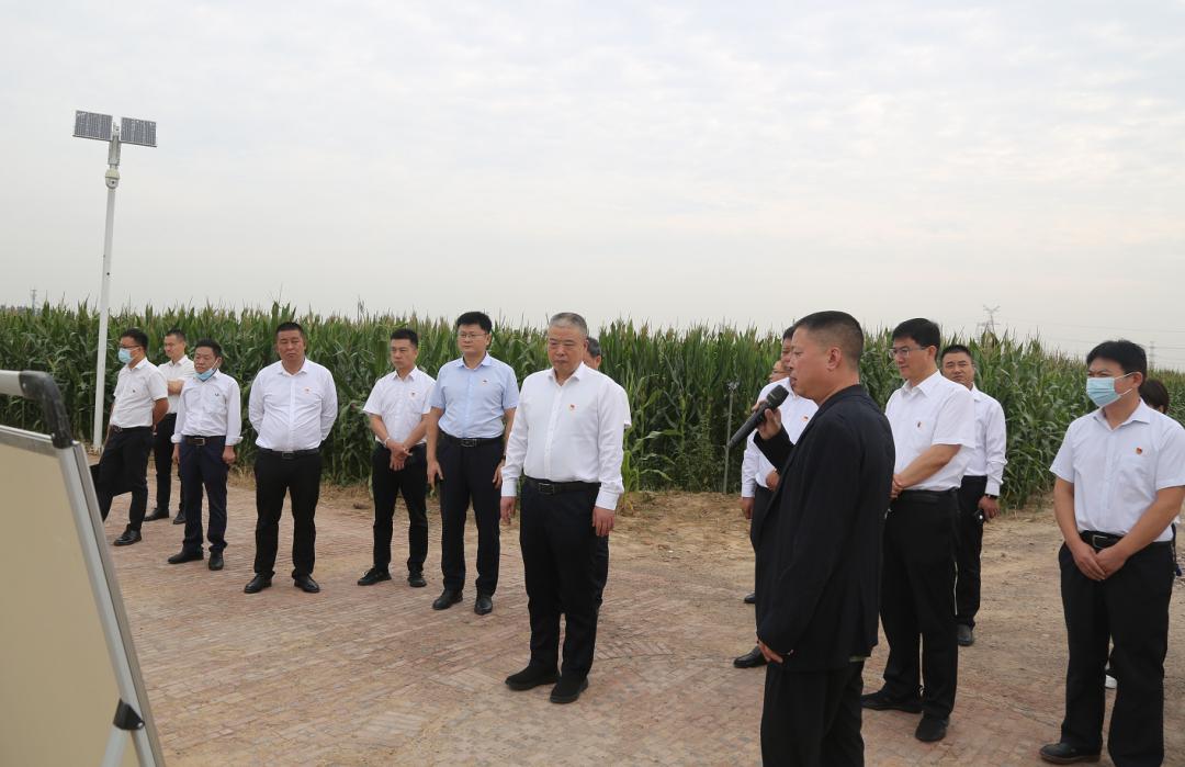 龙亭区水利局推动水利建设助力区域发展最新报道