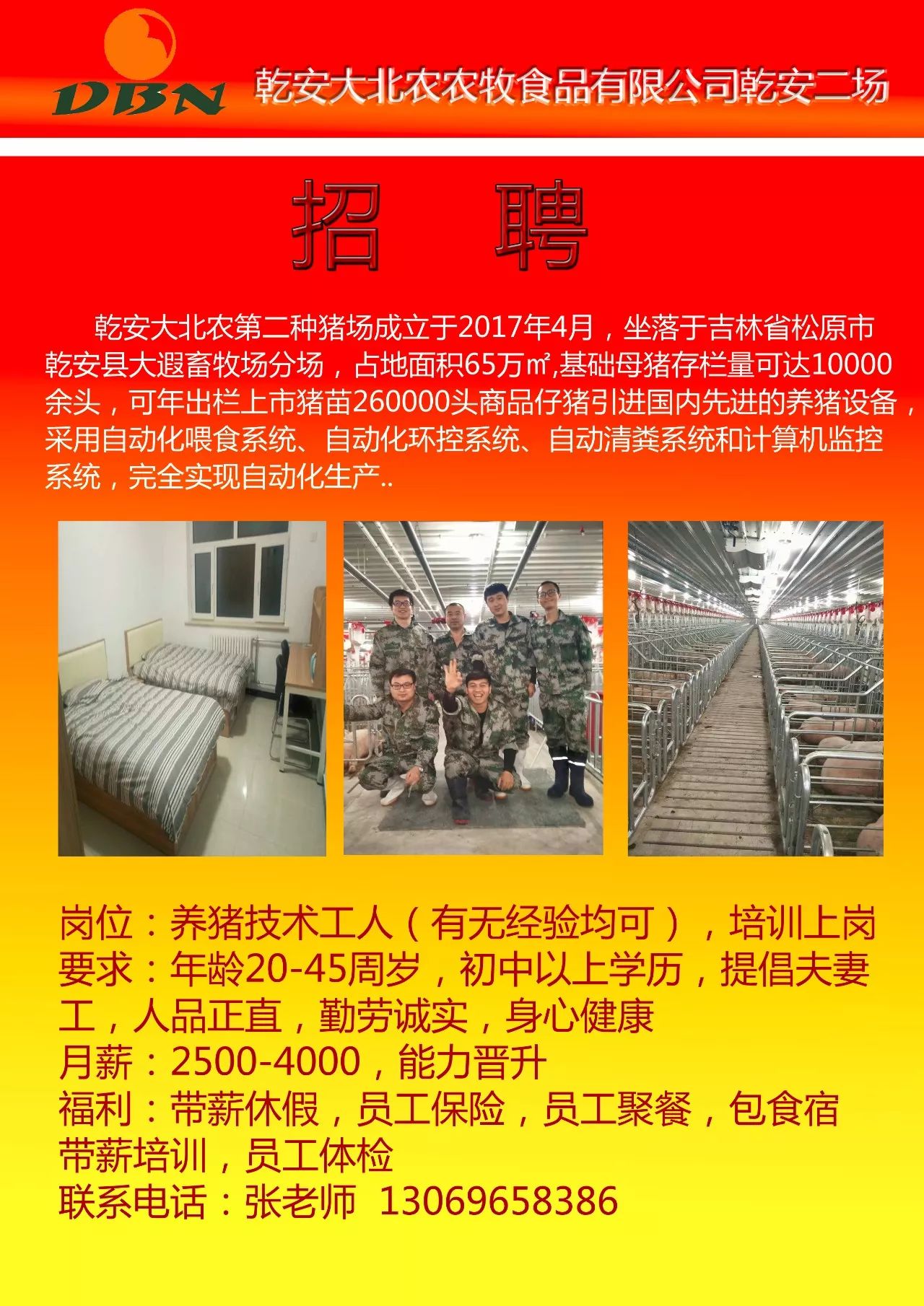 搜登站镇最新招聘信息全面解析