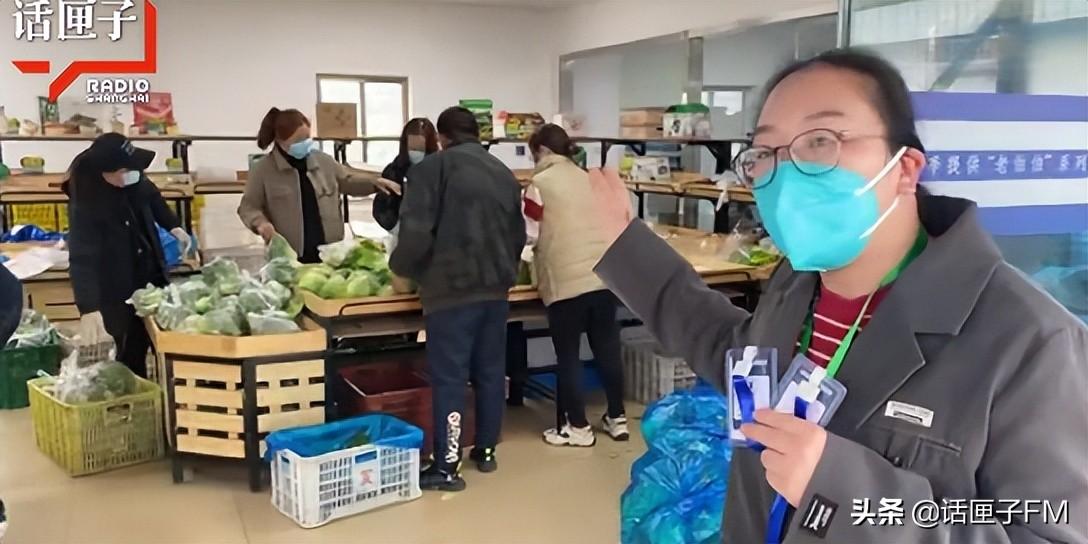 奉贤区现代农业园区开启新篇章，推动农业现代化发展新闻速递