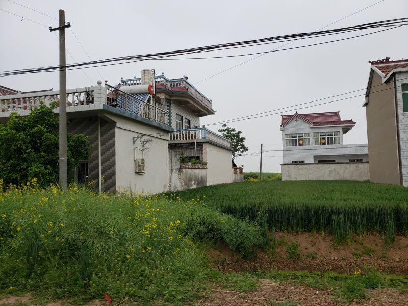 鲁口镇天气预报更新通知