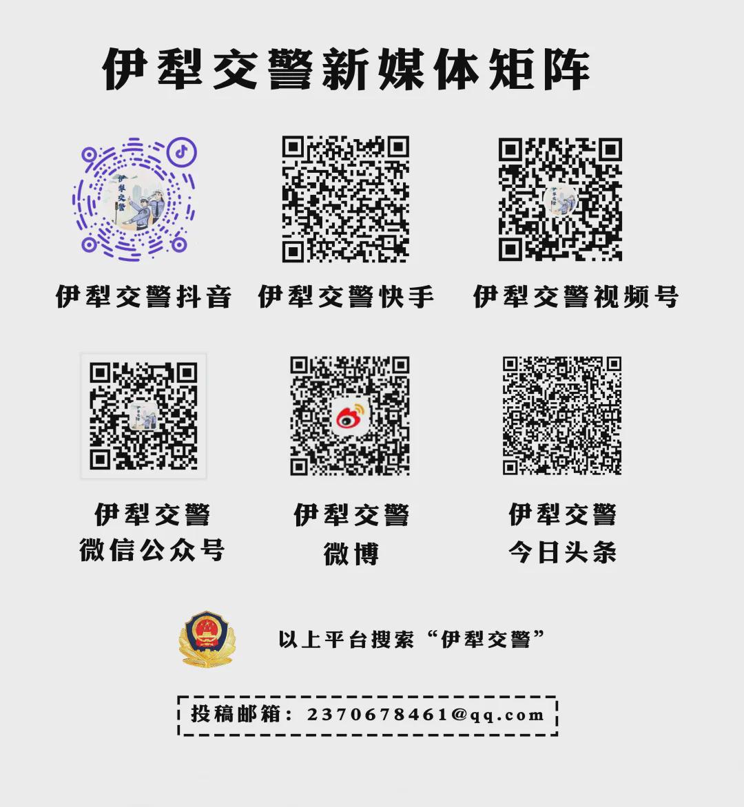 伊宁市公安局现代化警务体系发展规划，提升城市安全水平，构建现代化警务新篇章